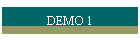 DEMO 1